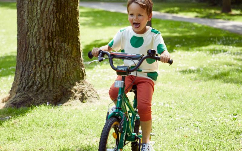 <p>Kriskras in de stad, door het park, naar de skatebaan! Met de Alpina Comet begint iedere dag met een nieuw avontuur. Deze crossers - ge&iuml;nspireerd op de BMX - zijn perfect op straat en offroad te gebruiken. De stoere banden met grof profiel geven altijd de juiste grip.</p>
