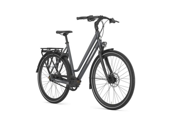 GAZELLE Chamonix S11 Dames Cloud Grey Mat 53cm 2024